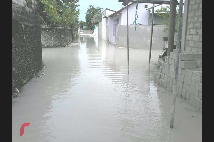 މިހާރު ރާއްޖޭގެ އެކި ހިސާބުތަކަށް ކުރަމުންދާ ވިއްސާރާގައި ހަނިމާދޫއަށް ބޯކޮށް ވާރޭވެހި ފެންބޮޑުވެއްޖެއެވެ