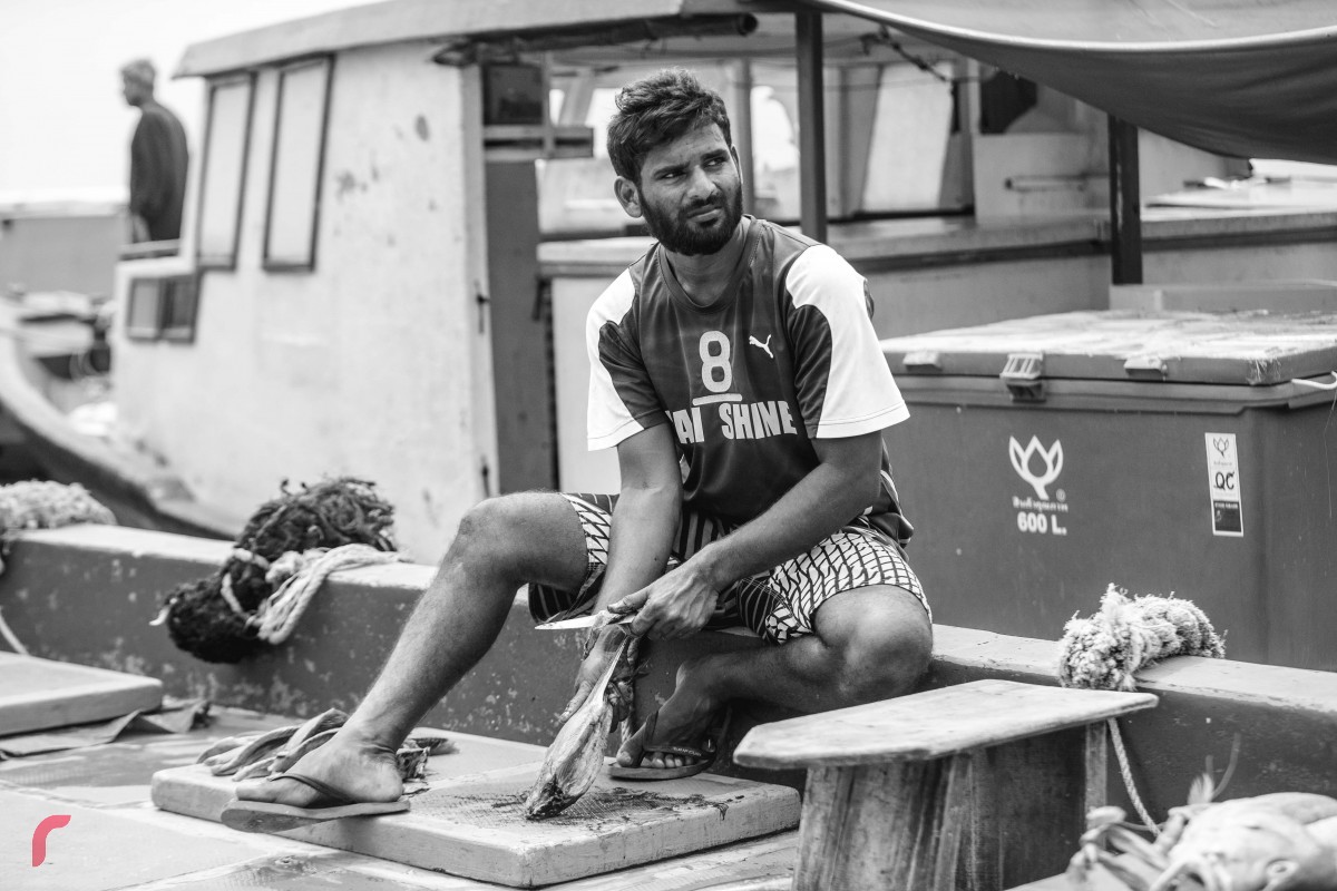 މާލެ މަސްމާރުކޭޓު ސަރަހައްދުގައި އަޅާފައިއޮތް ދޯންޏެއްގައި މީހަކު މަސް ކަނޑަނީ. ކޮންމެ ދުވަހަކު ހެނދުނުވަގުތުން ފެށިގެންގޮސް އިރުއޮއްސުމާއި ހަމައަށް މާލެ މާރުކޭޓު ސަރަހައްދު ބާރުބޮޑުވޭ