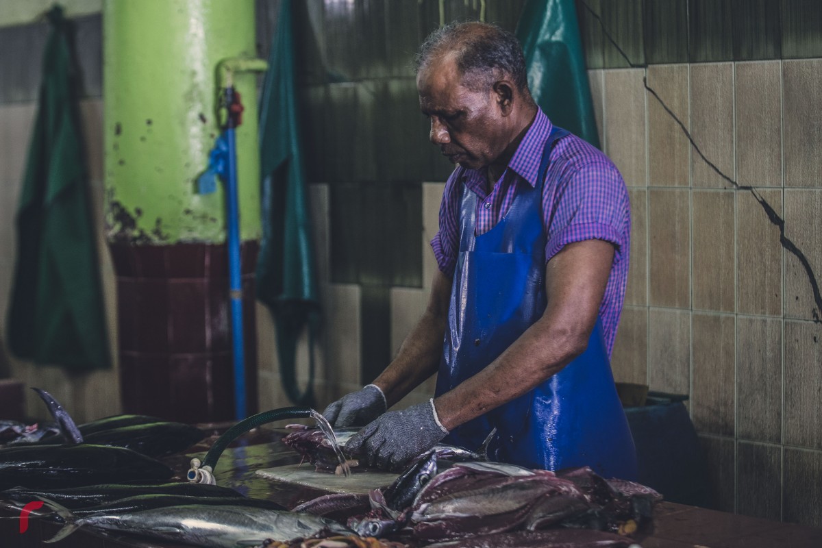 މަސްމާރުކޭޓުގައި މަސްކަނޑަނީ. ރޯދަމަހު އެންމެގިނައިން ވިކޭ އެއްބާވަތަކީ ކަނޑުމަސް