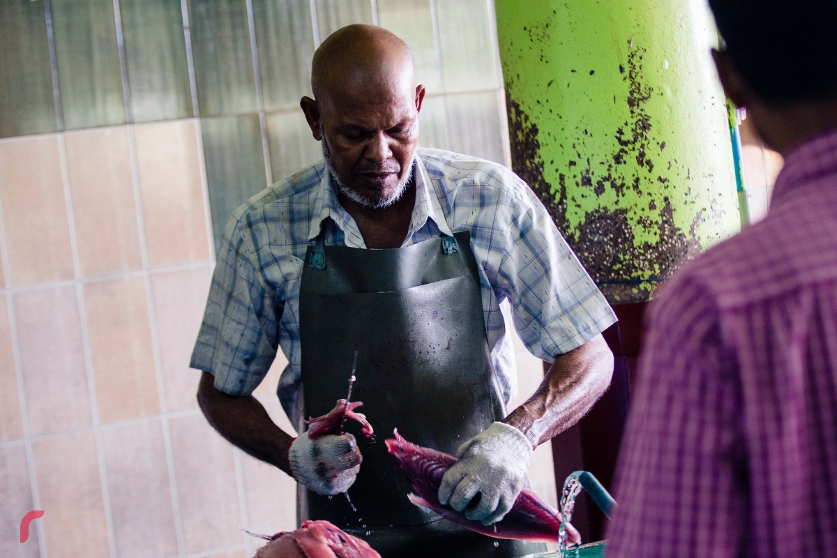 މަސްމާރުކޭޓުގައި މަސްކަނޑަނީ. ރޯދަމަހު އެންމެގިނައިން ވިކޭ އެއްބާވަތަކީ ކަނޑުމަސް