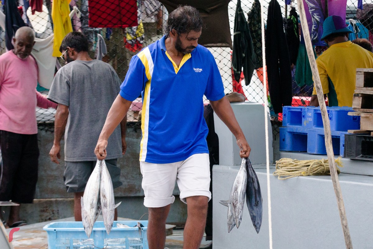 A man offloads several fish from a vessel docked at capital city Malé