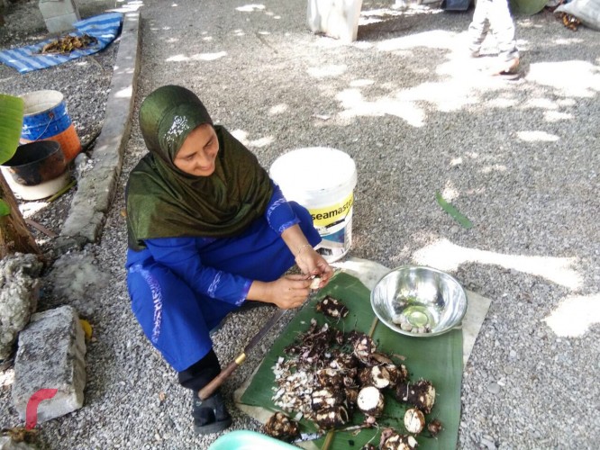 ފުވައްމުލަކުގައި ގިނަ އަދަދަކަށް ހެދޭ އޮޅުއަލައަކީ ފުވައްމުލަކު ރައްޔިތުންގެ ކެއުމުގެ މުހިއްމު ބަޔަކަށް ވަނީ ވެގެން ގޮސްފަ