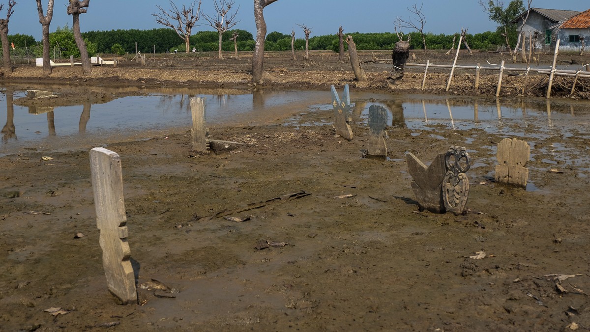 އިންޑޮނީޝީއާގެ ސަހަރެއްގެ ގަބުރުސްތާނައެއް. މި އަވަށުގެ މީހުން ވަޅުލައި ހެދުމަށް ވަނީ ދަތިތަކާއި ދިމާވެފައި