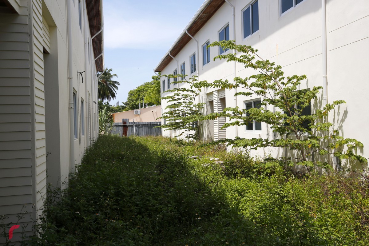 މުޅި ސަރަހައްދުގައި ވަނީ ބޯކޮށް ވިނަ ހެދިފައި