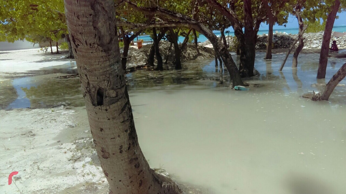 އޯގަސްޓް 21، 2017: ކ. ގުޅިއަށް އުދައަރައި ރަށުތެރޭގައި ލޮނުގަނޑު ބޮޑުވެފައި -- ރާއްޖެގެ އެކި ހިސާބުތަކަށް އުދަ އަރަމުންދާއިރު މިއަދު ހިފާ އިރުކޭތައިގެ ސަބަބުން އުދައެރުމުގެ ފުރުސަތު އޮތްކަމަށް ޤައުމީ މޫސުމާއިބެހޭ އިދާރާއިން ހާމަކުރޭ.