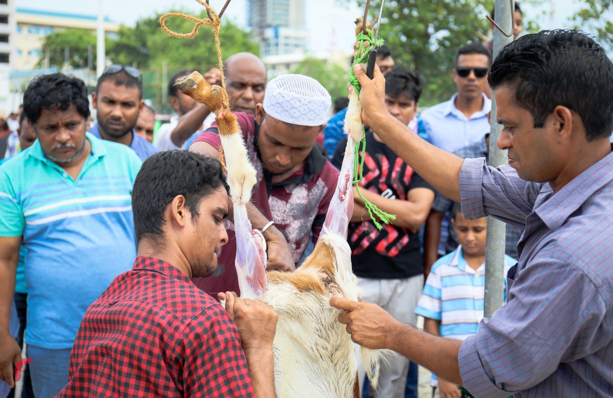 ސެޕްޓެމްބަރު 1، 2017: އަލްހާ ޢީދު ނަމާދަށްފަހު އުޟްހިޔާ ކަތިލަނީ