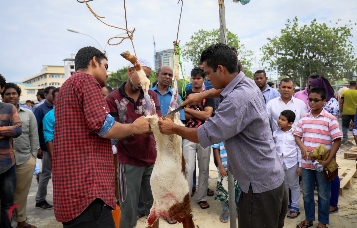 ސެޕްޓެމްބަރު 1، 2017: އަލްހާ ޢީދު ނަމާދަށްފަހު އުޟްހިޔާ ކަތިލަނީ