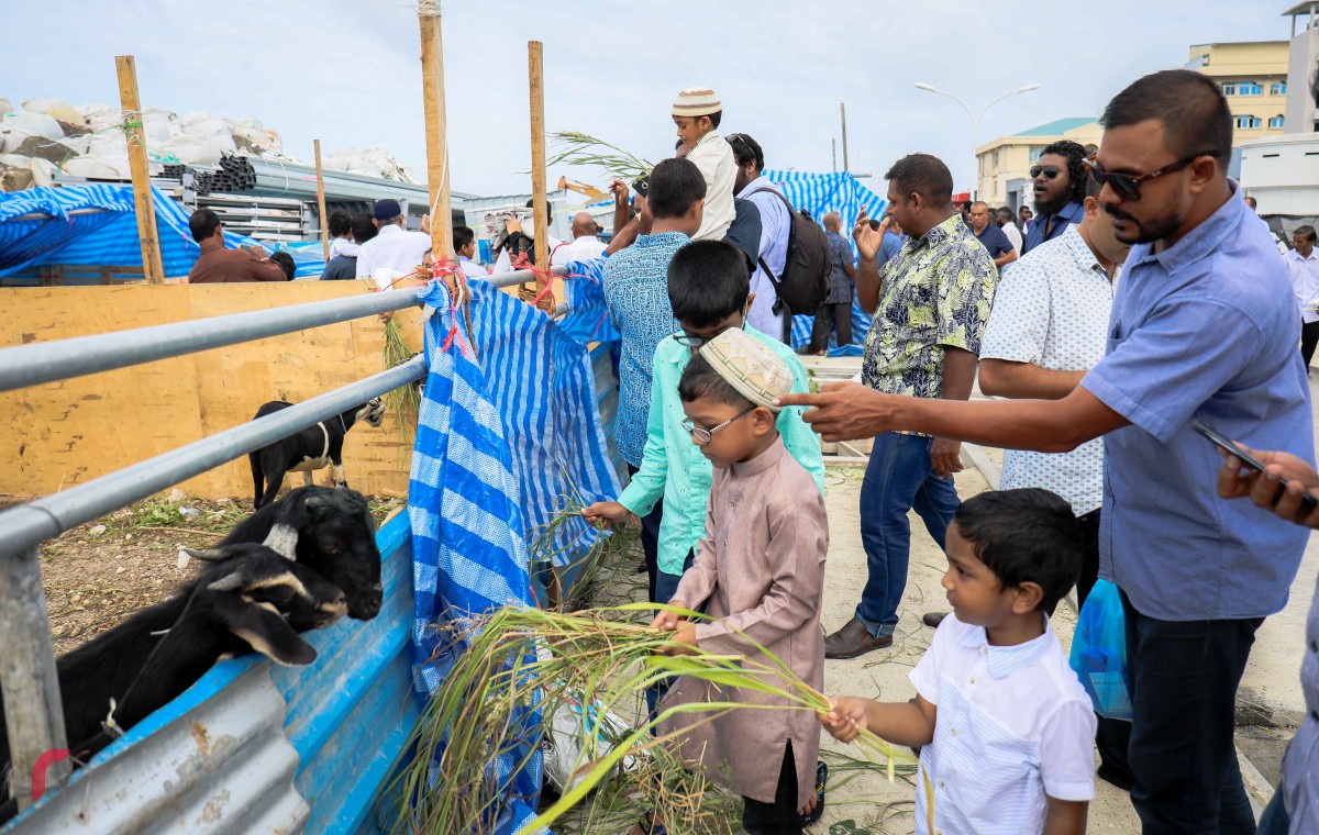 ސެޕްޓެމްބަރު 1، 2017: އަލްހާ ޢީދު ނަމާދަށްފަހު އުޟްހިޔާ ކަތިލަނީ