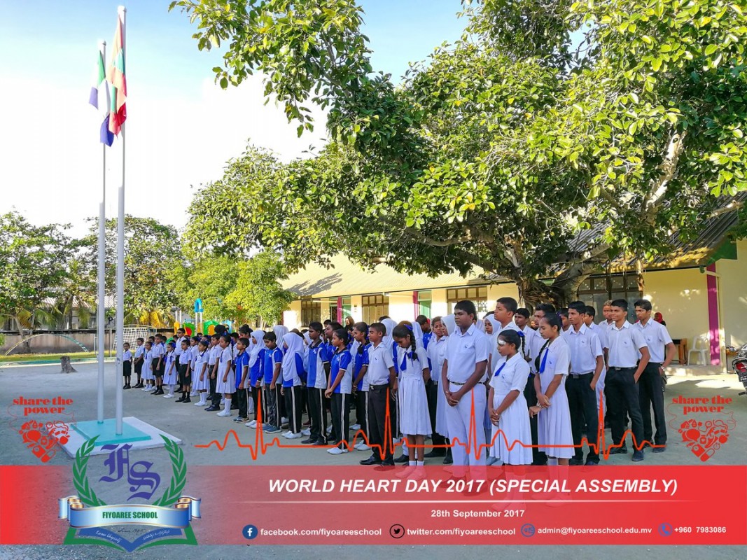 ެސެޕްޓެމްބަރު 28 ، 2017: ހިތުގެ ބަލިތަކުން މީހުން ހޭލުންތެރި ކުރުމަށް ރާއްޖޭގައި މަސައްކަތް ކުރާ ޓައިނީ ހާޓްސް އިން އިންތިޒާމްކޮށްގެން ފިޔޯރީގައި ވޯލްޑް ހާޓް ޑޭ ފާހަގަކުރަނީ

