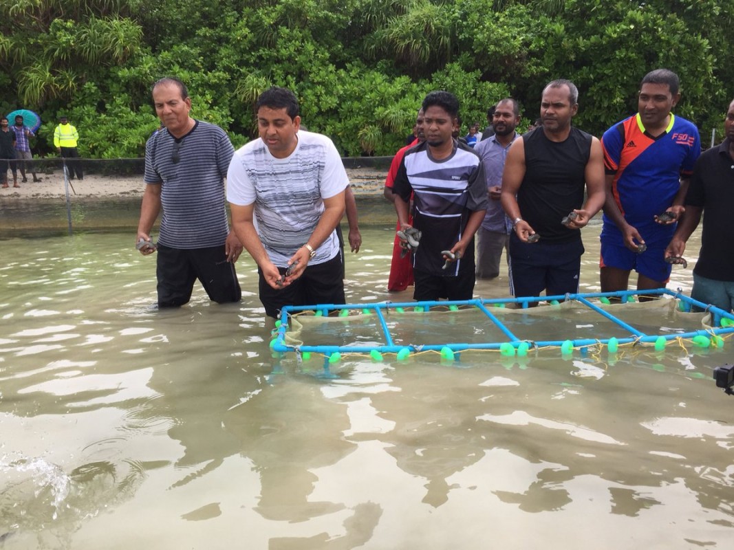 ނޮވެމްބަރު 6، 2017: ލ. އިސްދޫގައި ހުއިފިލަނޑާ ބޮޑުކުރުމުގެ މަސައްކަތް ފައްޓަވައިދެއްވުމަށް ފަހު  ފިޝަރީޒް މިނިސްޓަރު ޝައިނީ ހުއިފިލަނޑާ އާލާ ކުރުމުގެ މަސައްކަތުގައި ބައިވެރިވެވަޑައިގަންނަވަނީ