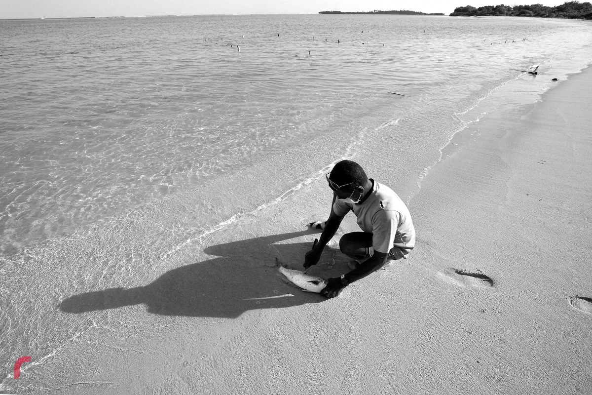 ރާއްޖެއަކީ ގުދުރަތީ ގޮތުން ރީތިކަން ލިބިފައިވާ ގައުމަކަށްވާއިރު އޭގެ ރީތިކަން ހިމާޔަތްކޮށް އަދި ދުނިޔެއިން ނަން މަޝްހޫރު ގޮންޑުދޮށްތަކާއި މޫދުތައް މުސްތަގުބަލުގެ ޖީލުތަކަށް ދެމިއޮންނަ ގޮތަށް މިއަދު އެކި ފިޔަވަޅުތައް އެޅުން މުހިންމެވެ.