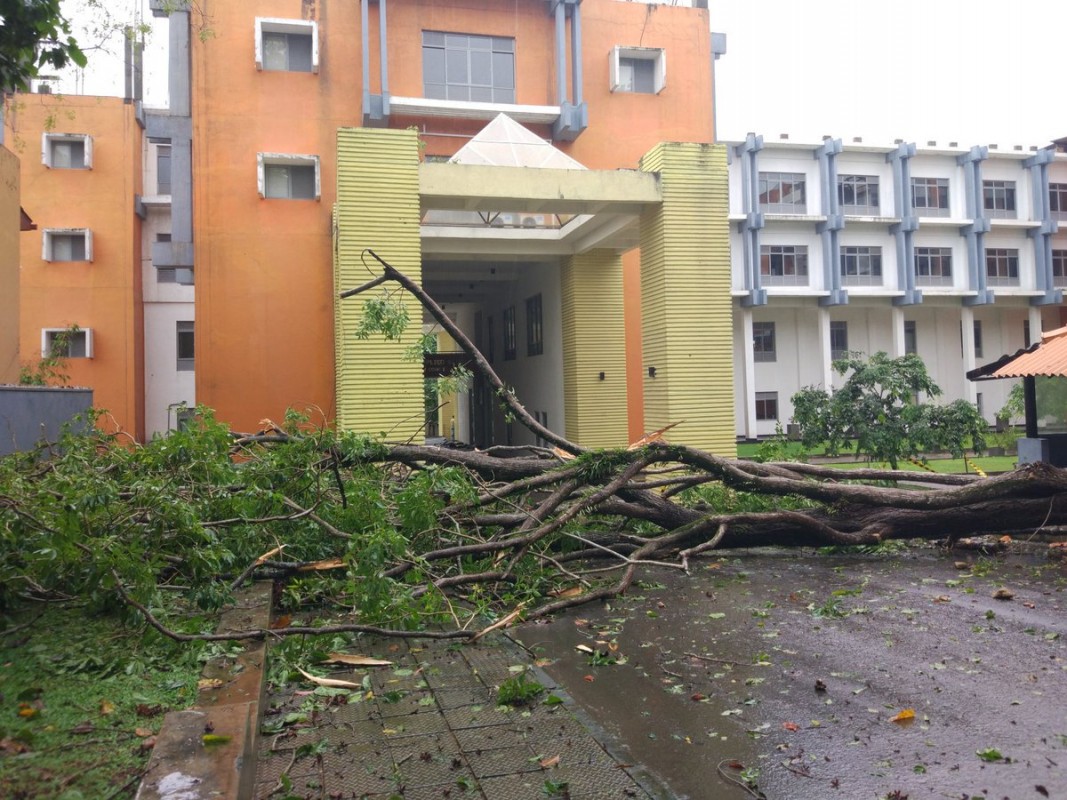 ނޮވެމްބަރު 30، 2017: ލަންކާއަށް ގަދަ ވަޔާއިއެކު ބޯކޮށް ކުރަމުންދާ ވިއްސާރައިގެ ސަބަބުން ލަންކާގެ މަގަކަށް ގަހެއް ވެއްޓިފައި. ސްރީ ލަންކާގެ މޫސުމާއި ބެހޭ އިދާރާއިން ރެޑް އެލާޓް ނެރިފައިވާއިރު ކުރިއައް އޮތް ދެ ދުވަހު ގުގުރުމާއިއެކު ބޯކޮށް ވިއްސާރަ ކުރާނެކަމަށް ލަފާކުރެވޭ.