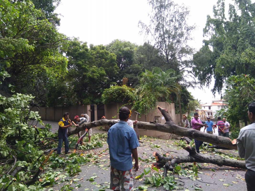 ނޮވެމްބަރު 30، 2017: ލަންކާއަށް ގަދަ ވަޔާއިއެކު ބޯކޮށް ކުރަމުންދާ ވިއްސާރައިގެ ސަބަބުން ލަންކާގެ މަގަކަށް ގަހެއް ވެއްޓިފައި. ސްރީ ލަންކާގެ މޫސުމާއި ބެހޭ އިދާރާއިން ރެޑް އެލާޓް ނެރިފައިވާއިރު ކުރިއައް އޮތް ދެ ދުވަހު ގުގުރުމާއިއެކު ބޯކޮށް ވިއްސާރަ ކުރާނެކަމަށް ލަފާކުރެވޭ.