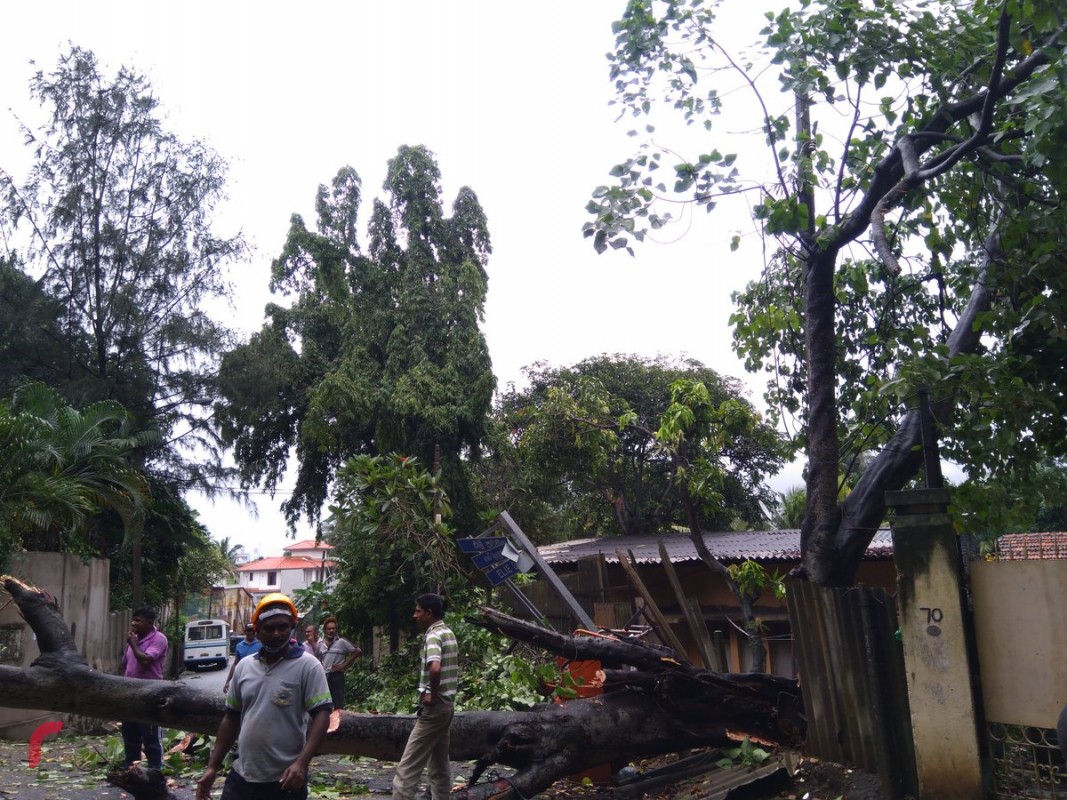 ނޮވެމްބަރު 30، 2017: ލަންކާއަށް ގަދަ ވަޔާއިއެކު ބޯކޮށް ކުރަމުންދާ ވިއްސާރައިގެ ސަބަބުން ލަންކާގެ މަގަކަށް ގަހެއް ވެއްޓިގައި، ސްރީ ލަންކާގެ މޫސުމާއި ބެހޭ އިދާރާއިން ރެޑް އެލާޓް ނެރިފައިވާއިރު ކުރިއައް އޮތް ދެދުވަހު ގުގުރުމާއިއެކު ބޯކޮށް ވިއްސާރަ ވެހޭނެ ކަމށް ވަނީ ލަފާކޮށްފައި