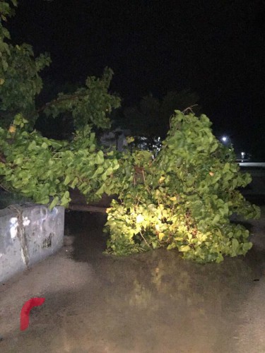 ޑިސެމްބަރު 1، 2017: ލަންކާ ކައިރީ އުފެދިފައިވާ ކޮޅިގަނޑުގެ ސަބަބުން ހިންނަވަރުގައި ފެންބޮޑުވެފައި، އަތޮޅުތެރޭ ގިނަ ރައްތަކެއްގައި ފެންބޮޑުވެފައިވާއިރު ފުލުހުންނާއި އެމްއެމްޑީފެއް އިން ދަނީ ފެން ހިންދުމުގައި ރައްރަށަށް އެހީ ފޯރުކޮށްދެމުން