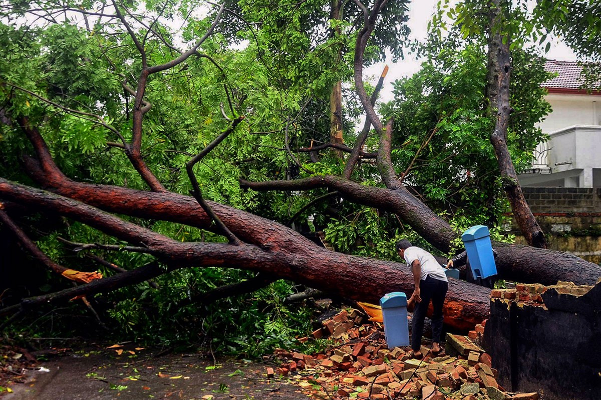 ޑިސެމްބަރު 1، 2017: ދެކުނު އިންޑިއާ ކަނޑުގައި އުފެދުނު ތޫފާން އޮކީގެ ސަބަބުން ލަންކާގައި ގަހެއް ވެއްޓިފައި