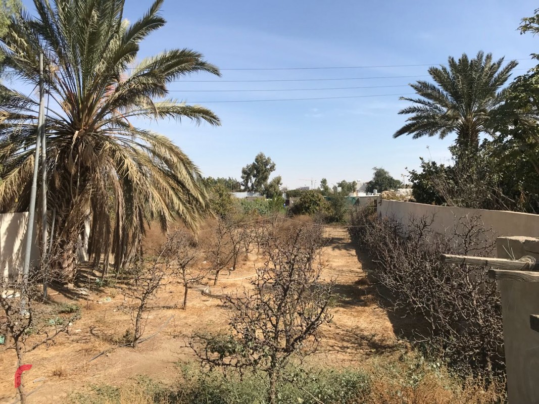 ޖެނުއަރީ 10، 2018: ތާއިފްއަށް ރަސޫލާ ކުރެއްވި ދަތުރުފުޅުގައި ރަސޫލާ މަޑުކޮށްލެއްވި ބަގީޗާ