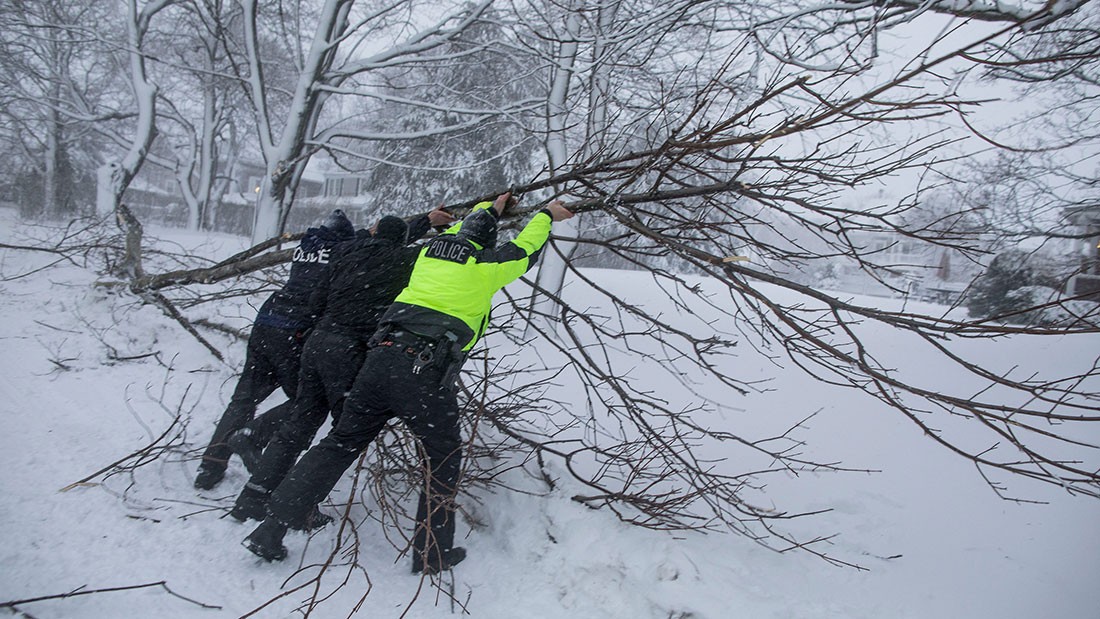 ޖެނުއަރީ 18، 2018: އެމެރިކާއަށް ބޯކޮށް ސްނޯ ފައިބާ މަގުމައްޗައް ގަހެއް ވެެއްޓުމުން ފުލުހުން މަގުމަތި ސާފުކުރަން މަސައްކަތް ކުރަނީ