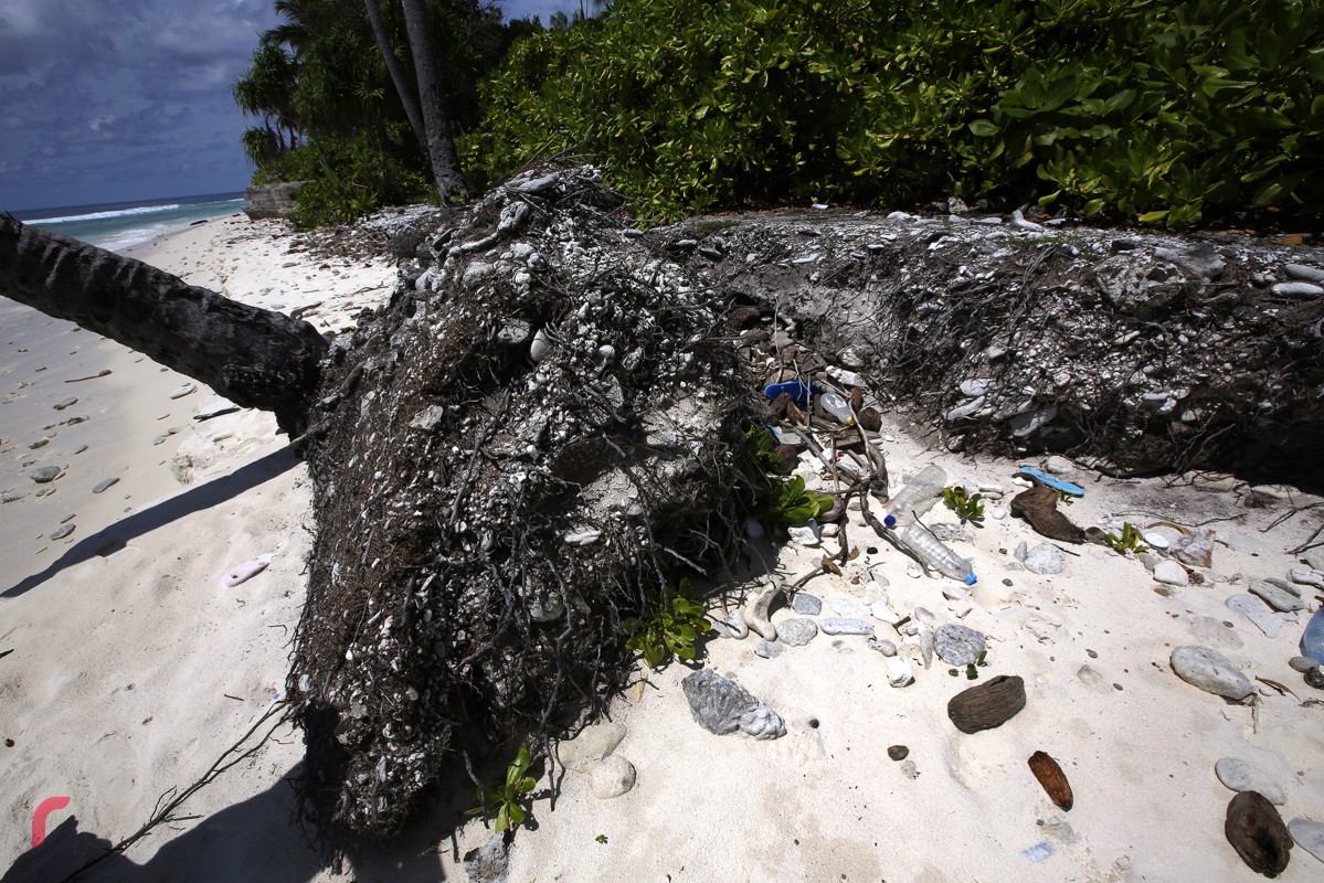 ރަށް ގިރުމުގެ ސަބަބުން އައްޑޫ ސިޓީގެ ގޮނޑުދޮށުގައި ހުރި ރުކެއް ވެއްޓިފަ