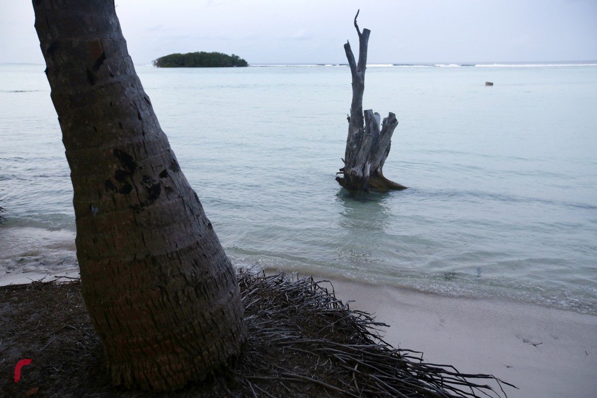 ވިސްނާ ނުލާ ކުރެވޭ މިފަދަ ކަންކަމުގެ ސަބަބުން އެކަމުން ކުރާ ނޭދެވޭ އަސަރު ރާއްޖޭގެ ގޮނޑުދޮށަށް ނަޒަރު ހިންގާލުމުން ހާމަވެއެވެ. ރަށް ގިރުމުގެ ނަތީޖާއެއްގެ ގޮތުން ގޮނޑުދޮށުގައި ހުންނަ ބިޔަ ގަސްތައް ވެއްޓެއެވެ. ރާއްޖޭގެ %99 އަކީ މޫދުކަމަށް ވާއިރު، ބާކީ %1 އަކީ ބިމެވެ. މިއަދު ރާއްޖޭގެ ބިމުގެ ބޮޑު ބައެއް ދަނީ ގިރަމުންނެވެ. ރަށްގިރުމުގެ މައްސަލަ ހައްލެއް ނުހޯދިއްޖެނަމަ ރާއްޖޭގެ ބިމުގެ ގޮތުން ރާއްޖެއަށް ލިބިފައިވާ %1 ގެ ބައެއް ގެއްލޭނެވެ