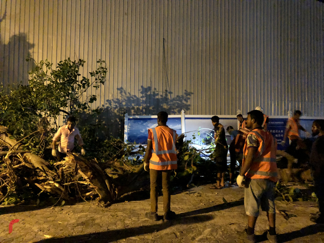 އޭޕްރިލް 10، 2018: ބްރިޖްގެ މަސައްކަތް ނިމެން ކައިރިވެފައިވާއިރު ބްރިޖްއަށް ދެވޭ މަގުތައް ފުޅާކޮށް ތަރައްގީކުރުމަށް މަގުތަކުގައި ހުރި ގަސްތައް ކަނޑަނީ