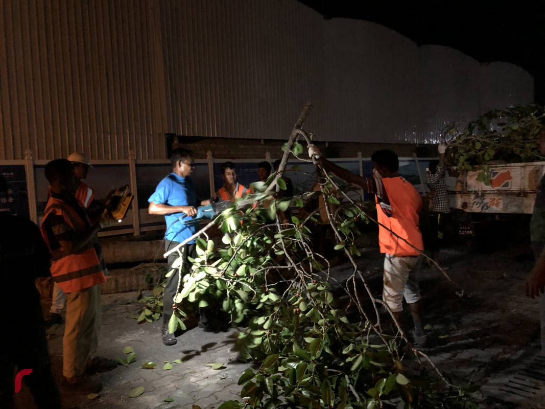 އޭޕްރިލް 10، 2018: ބްރިޖްގެ މަސައްކަތް ނިމެން ކައިރިވެފައިވާއިރު ބްރިޖްއަށް ދެވޭ މަގުތައް ފުޅާކޮށް ތަރައްގީކުރުމަށް މަގުތަކުގައި ހުރި ގަސްތައް ކަނޑަނީ