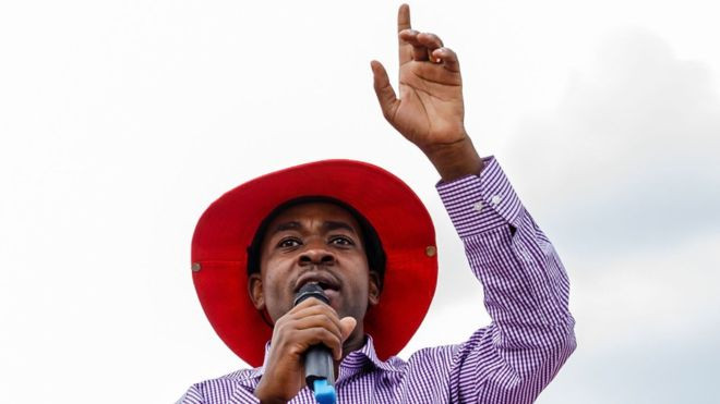 ނެލްސަން ޗަމީސާ