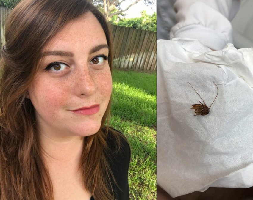 ކެޓީ ހޮލީ އޭނާގެ ކަންފަތުން ނެގި ކުރަފީގެ ބަޔަކާ އެކު