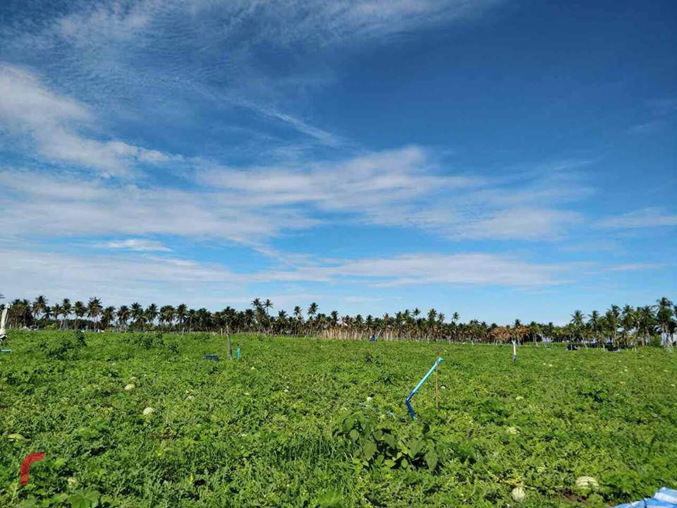 އއ. ތޮއްޑޫގެ ދަނޑު ސަރަހައްދު