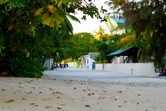 ރ. އަތޮޅުގައި ކުރިއަށްގެންދާ މަޝްރޫއުތައް ބާރު ސްޕީޑުގައި ކުރިއަށްދޭ: އުނގޫފާރު ދާއިރާގެ ކައުންސިލަރު