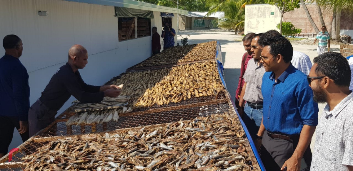 އޯގަސްޓް 6، 2018: ގުޅިފައިވާ އިއްތިހާދުގެ ރަނިންގމޭޓް ފައިސަލް ނަސީމް މ އަތޮޅަށް ކުރައްވަމުން ގެންދަވާ ދަތުރުފުޅުގައި ދިއްގަރުގައި މަސް ހިއްކާ ސަރަހައްދަށް ޒިޔާރަތް ކުރައްވައި، މަސް ހިއްކުމުގެ ކަންކަން ހިނގާ ގޮތް ބައްލަވަނީ. މި ދަތުރުފުޅުފައި ފައިސަލް ވަނީ އަތޮޅުގެ ރަށްތަކަށް ވަޑައިގެން ރައްޔިތުންގެ ހާލު ބައްލަވައިލައްވާފައި.