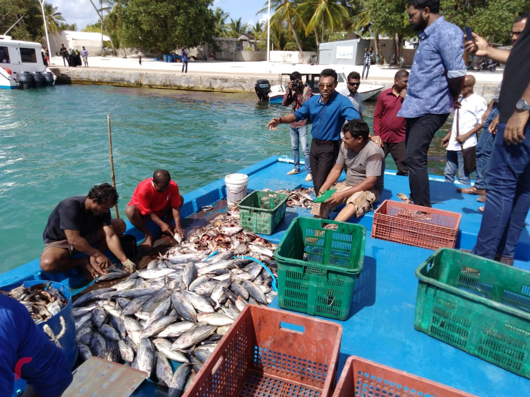 އޯގަސްޓް 6، 2018: ގުޅިފައިވާ އިއްތިހާދުގެ ރަނިންގމޭޓް ފައިސަލް ނަސީމް މ އަތޮޅަށް ކުރައްވަމުން ގެންދަވާ ދަތުރުފުޅުގައި ނާލާފުއްޓަށް ވަޑައިގެން މަސްވެރިންނާއި ބައްދަލުކުރަށްވައި މަސްވެރިންގެ ހާލު އޮޅުންފިލުއްވަނީ. މި ދަތުރުފުޅުފައި ފައިސަލް ވަނީ އަތޮޅުގެ ރަށްތަކަށް ވަޑައިގެން ރައްޔިތުންގެ ހާލު އޮޅުންފިލުއްވާފައި.