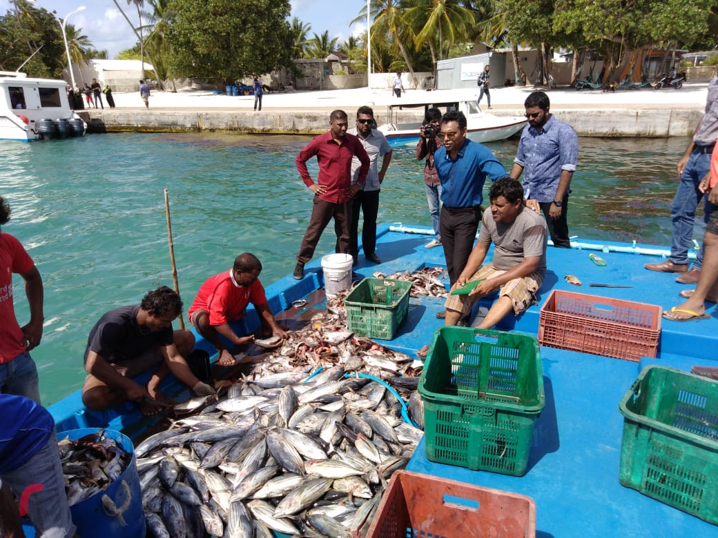 އޯގަސްޓް 6، 2018: ގުޅިފައިވާ އިއްތިހާދުގެ ރަނިންގމޭޓް ފައިސަލް ނަސީމް މ އަތޮޅަށް ކުރައްވަމުން ގެންދަވާ ދަތުރުފުޅުގައި ނާލާފުއްޓަށް ވަޑައިގެން މަސްވެރިންނާއި ބައްދަލުކުރަށްވައި މަސްވެރިންގެ ހާލު އޮޅުންފިލުއްވަނީ. މި ދަތުރުފުޅުފައި ފައިސަލް ވަނީ އަތޮޅުގެ ރަށްތަކަށް ވަޑައިގެން ރައްޔިތުންގެ ހާލު އޮޅުންފިލުއްވާފައި.