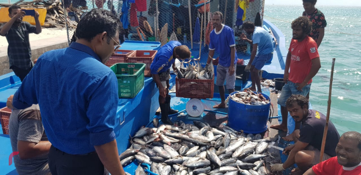 އޯގަސްޓް 6، 2018: ގުޅިފައިވާ އިއްތިހާދުގެ ރަނިންގމޭޓް ފައިސަލް ނަސީމް މ އަތޮޅަށް ކުރައްވަމުން ގެންދަވާ ދަތުރުފުޅުގައި ނާލާފުއްޓަށް ވަޑައިގެން މަސްވެރިންނާއި ބައްދަލުކުރަށްވައި މަސްވެރިންގެ ހާލު އޮޅުންފިލުއްވަނީ. މި ދަތުރުފުޅުފައި ފައިސަލް ވަނީ އަތޮޅުގެ ރަށްތަކަށް ވަޑައިގެން ރައްޔިތުންގެ ހާލު އޮޅުންފިލުއްވާފައި.