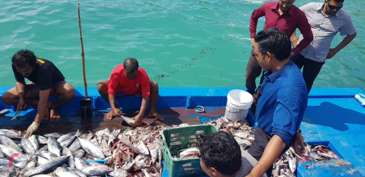 އޯގަސްޓް 6، 2018: ގުޅިފައިވާ އިއްތިހާދުގެ ރަނިންގމޭޓް ފައިސަލް ނަސީމް މ އަތޮޅަށް ކުރައްވަމުން ގެންދަވާ ދަތުރުފުޅުގައި ނާލާފުއްޓަށް ވަޑައިގެން މަސްވެރިންނާއި ބައްދަލުކުރަށްވައި މަސްވެރިންގެ ހާލު އޮޅުންފިލުއްވަނީ. މި ދަތުރުފުޅުފައި ފައިސަލް ވަނީ އަތޮޅުގެ ރަށްތަކަށް ވަޑައިގެން ރައްޔިތުންގެ ހާލު އޮޅުންފިލުއްވާފައި.