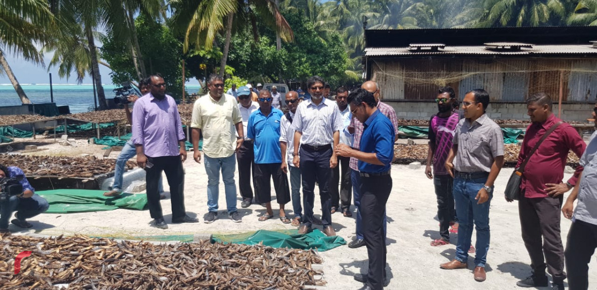 އޯގަސްޓް 6، 2018: ގުޅިފައިވާ އިއްތިހާދުގެ ރަނިންގމޭޓް ފައިސަލް ނަސީމް މ އަތޮޅަށް ކުރައްވަމުން ގެންދަވާ ދަތުރުފުޅުގައި ނާލާފުށީގެ މަސް ހިއްކާ ސަރަހައްދަށް ޒިޔާރަތް ކުރައްވައި، މަސް ހިއްކުމުގެ ކަންކަން ހިނގާ ގޮތް ބައްލަވަނީ. މި ދަތުރުފުޅުފައި ފައިސަލް ވަނީ އަތޮޅުގެ ރަށްތަކަށް ވަޑައިގެން ރައްޔިތުންގެ ހާލު ބައްލަވައިލައްވާފައި.