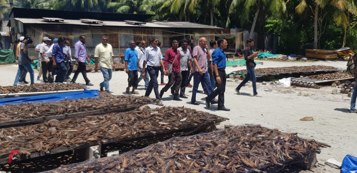 އޯގަސްޓް 6، 2018: ގުޅިފައިވާ އިއްތިހާދުގެ ރަނިންގމޭޓް ފައިސަލް ނަސީމް މ އަތޮޅަށް ކުރައްވަމުން ގެންދަވާ ދަތުރުފުޅުގައި ނާލާފުށީގެ މަސް ހިއްކާ ސަރަހައްދަށް ޒިޔާރަތް ކުރައްވައި، މަސް ހިއްކުމުގެ ކަންކަން ހިނގާ ގޮތް ބައްލަވަނީ. މި ދަތުރުފުޅުފައި ފައިސަލް ވަނީ އަތޮޅުގެ ރަށްތަކަށް ވަޑައިގެން ރައްޔިތުންގެ ހާލު ބައްލަވައިލައްވާފައި.