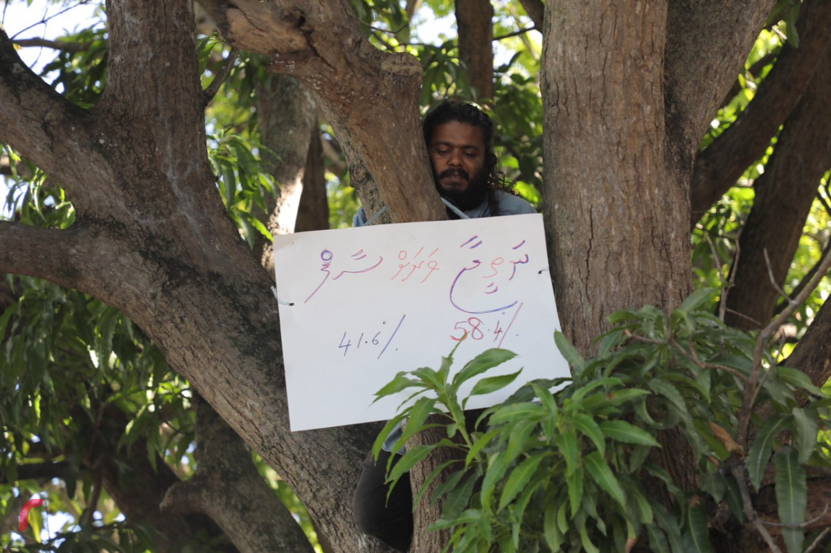 ސުޕްރީމް ކޯޓް ކައިރީ ރައްޔިތުން އަޑު އުފުލަމުން ދިޔައިރު، އެ ސަރަހައްދުގެ އަނބު ގަހަކަށް ޒުވާނަކުގައި އަރައި ޝުއޫރު ފާޅުކުރަނީ