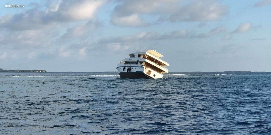 ފަރަށް އެރި ސަފާރީ - މި ހާދިސާގައި އެއްވެސް މީހަކަށް ގެއްލުމެއްނުވޭ