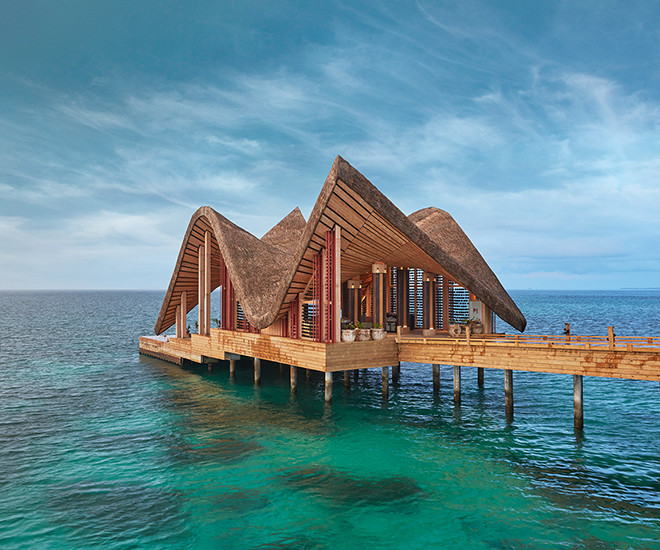 ޖޯލި މޯލްޑިވްސްގެ ޖެޓީ