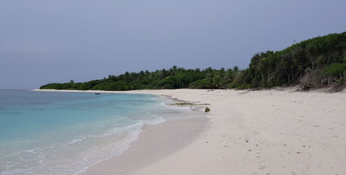 ހއ. ތުރާކުނުގެ ގޮނޑުދޮށް