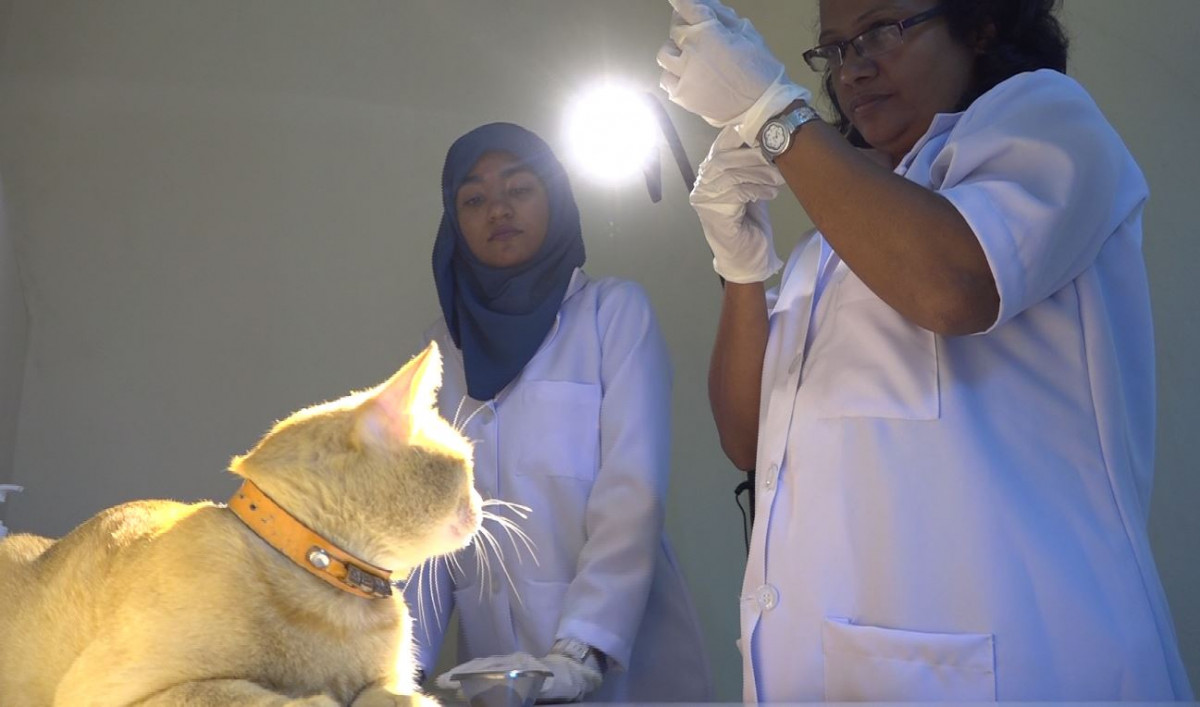 ތިއޯއަށް ވެކްސިން ޖެހުމަށް ޑޮކްޓަރާއި އޮފިޝަލް ތައްޔާރުވަނީ