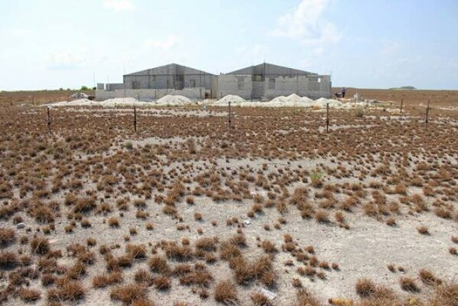 ބީލަން ހުޅުވުން އޮންނާނީ 4 އޭޕްރީލް 2019 ވާ ބުރާސްފަތި ދުވަހުގެ 11:00 ގައި