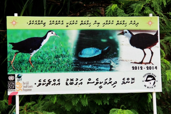 ދިރުންތައް ހިމާޔަތްކުރުމުގެ ގޮތުން ހޭލުންތެރިކަން އިތުރު ކުރުމަށްޓަކައި ހަރުކުރެވިފައިވާ ބިލްބޯޑެއް