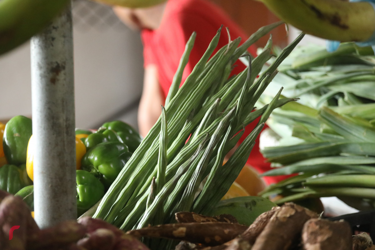 މުރަނގަ ތޮޅި