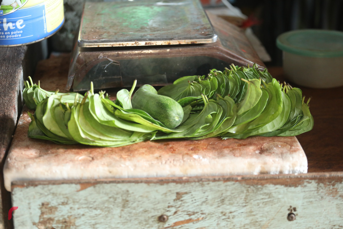 ބިލެތްތަކެއް