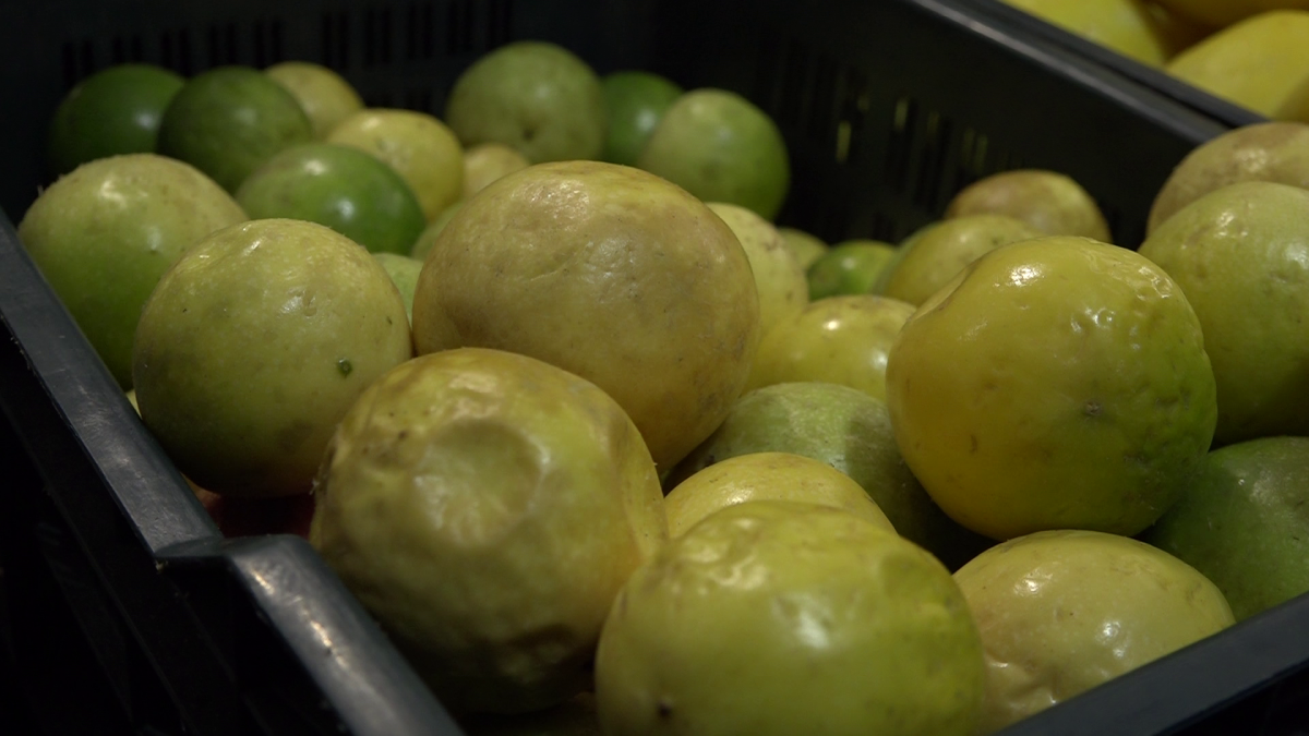 ފެޝަން ފުރުޓް