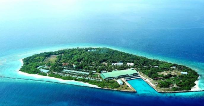 ށ.އަތޮޅު ކީކިމިނި