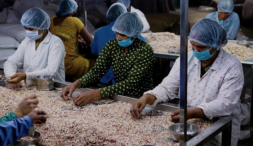 ދަނޑުވެރިން އުފައްދާ ބާވަތްތައް ހިއްކުން