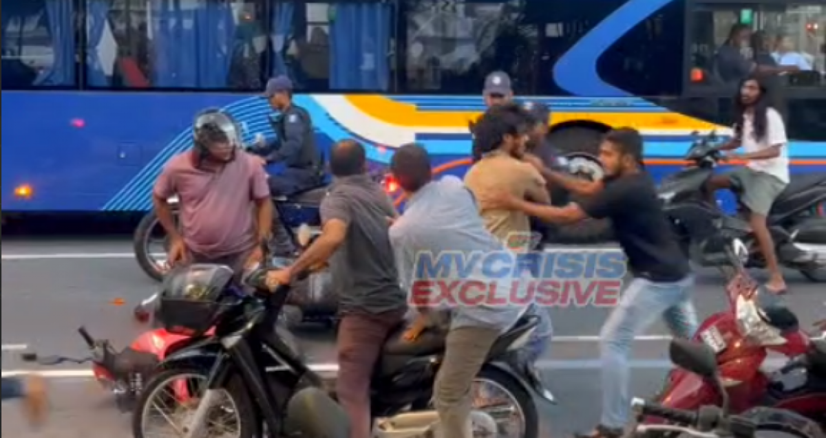 ޗީބޯ ކައިރީގައި ހިންގި މާރާމާރީ